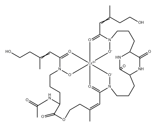 CasImg