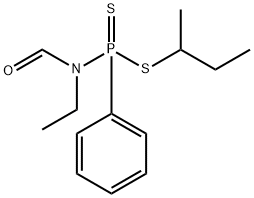 CasImg