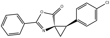 CasImg