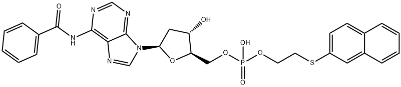CasImg