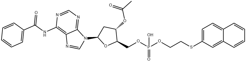 CasImg