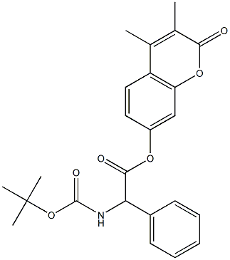 CasImg