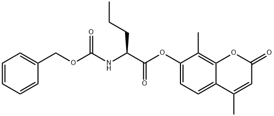 CasImg