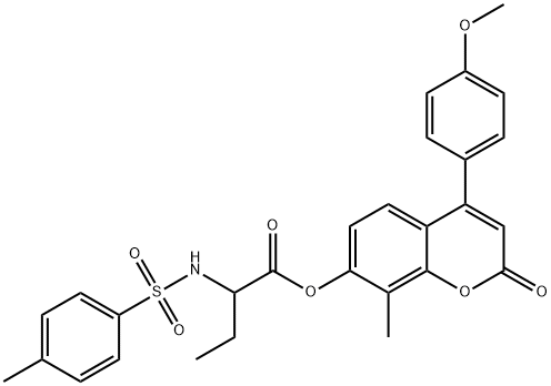 CasImg