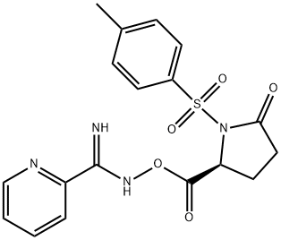CasImg