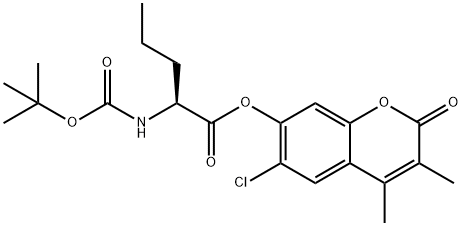 CasImg