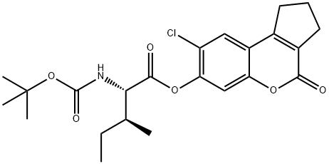 CasImg