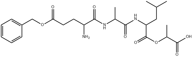 CasImg