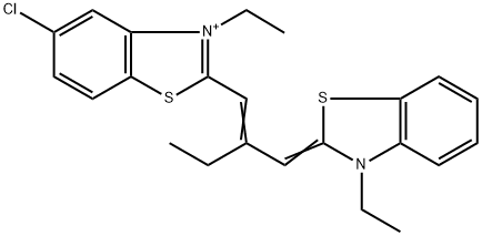 CasImg