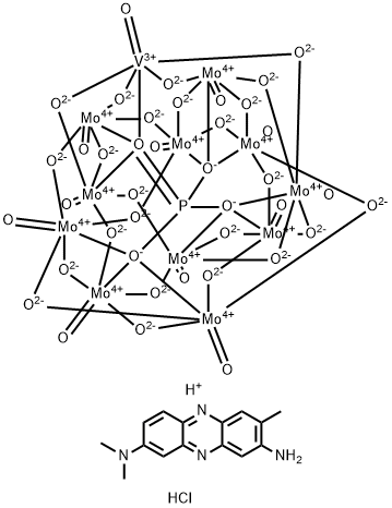 CasImg