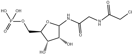 CasImg
