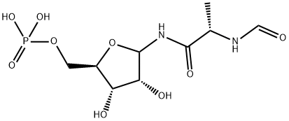 CasImg