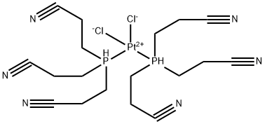 CasImg