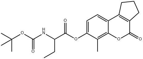 CasImg