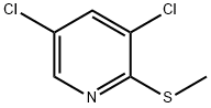 CasImg