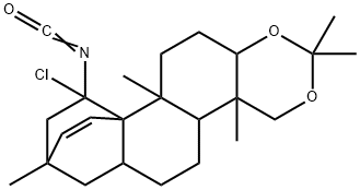 CasImg