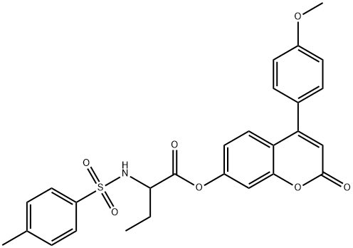 CasImg