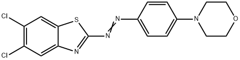 CasImg