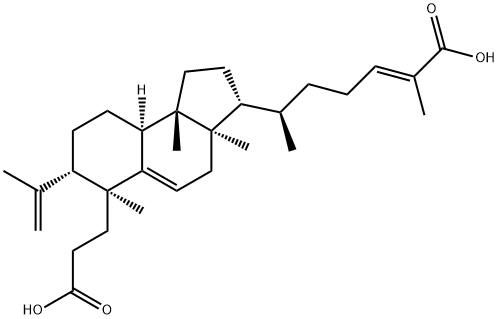 1016260-24-4
