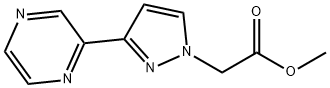 1019010-09-3