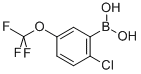 2-氯-5-三氟甲氧基苯硼酸
