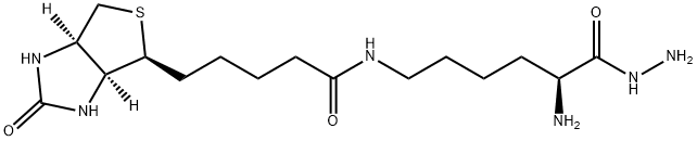 Biocytin hydrazide