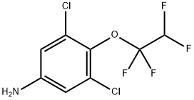 3,5-二氯-4-(1,1,2,2-四氟乙氧基)苯胺