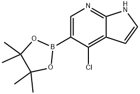 1072145-24-4