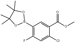 1073339-13-5