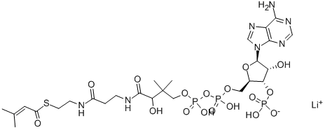 β-甲基巴豆酰基辅酶A 锂盐