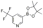 5-三氟甲基吡啶-3-硼酸频那醇酯