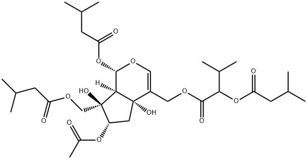 Jatamanvaltrate B