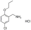 1135288-57-1