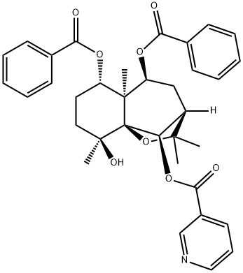 黑蔓定碱;黑蔓碱;黑蔓酮酯碱