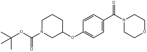 3-[4-(4-吗啉基羰基)苯氧基]-1-哌啶甲酸叔丁酯