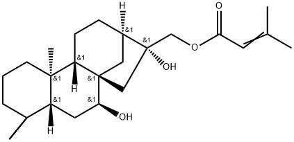1169805-98-4