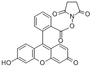 5(6)-羧基荧光素琥珀酰亚胺酯