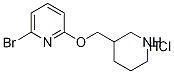 1185308-11-5