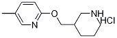 1185308-79-5