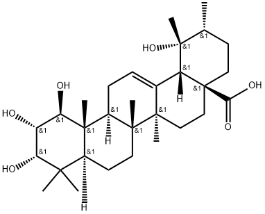 1β-Hydroxyeuscaphic acid