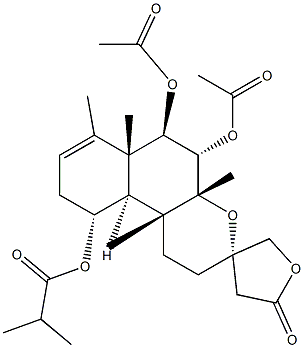 Scutebata E