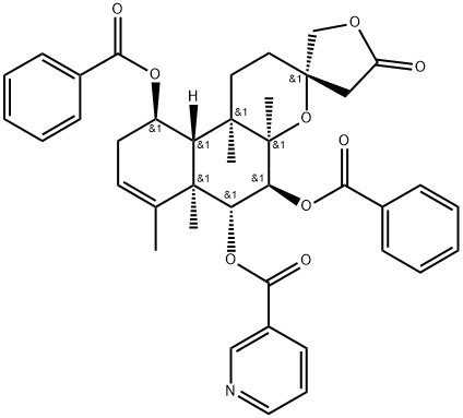 Scutebata G