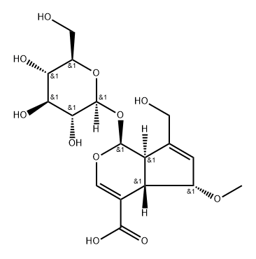 9-epi-6-Methoxygeniposidic acid