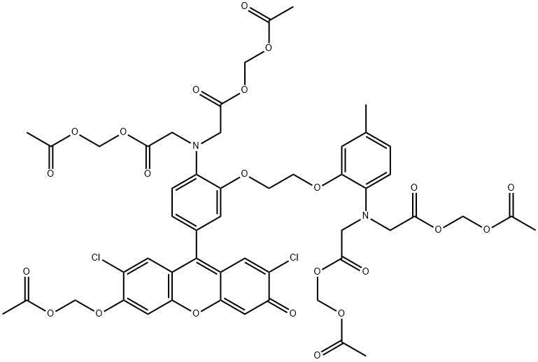 钙荧光探针Fluo-3; AM;Fluo-3 Acetoxymethyl ester