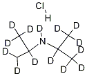 N,N-Diisopropylamine-d14 Hydrochloride
