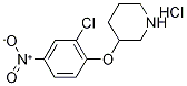1219957-02-4