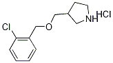 1220028-91-0