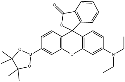 PY1