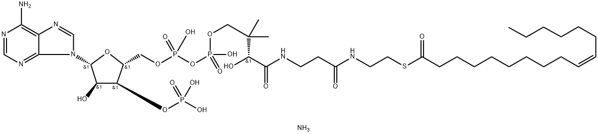 1246304-40-4