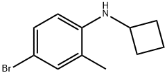 1250160-10-1